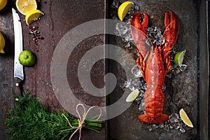 Lobster, dark grey rusty tray served on ice with lemon and live, top view, vintage style