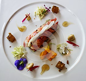 Lobster dish in gourmet French restaurant