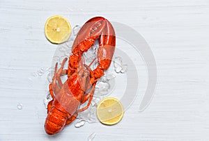 Lobster food on ice seafood shrimp with lemon on white wooden table dinner background