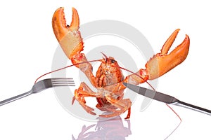 Lobster with fork and knife