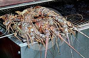 Lobster On The Grill