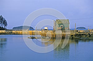 Lobster house on edge of Penobscot Bay in Stonington ME in Autumn photo