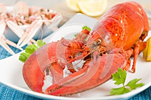 Lobster and Langoustines
