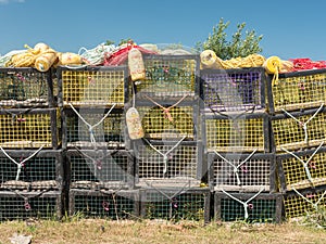 Lobster nets