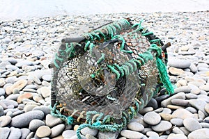 Lobster Pot