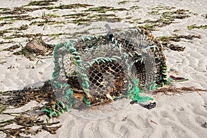 Lobster pot