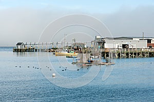 Lobster processing facility