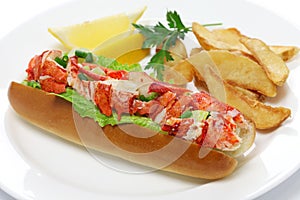 Lobster roll