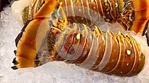 Lobster tail on ice ready for cooking