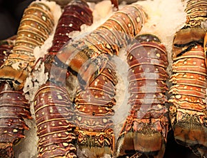 Lobster Tails