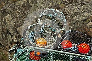 Lobster trap