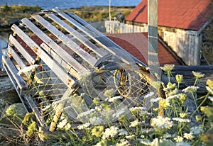 Lobster trap, Blue Rock, Nova Scotia