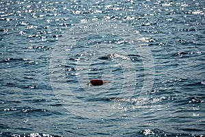 Lobster trap buoy floating on a choppy ocean in the Atlantic Ocean