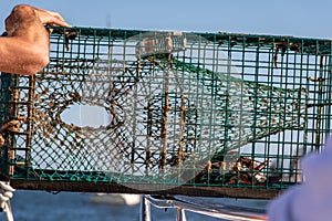 Lobster trap demonstration on a boat in Boothbay Harbor Maine on a sunny summer day