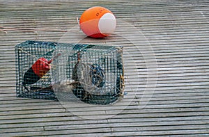 A lobster trap and float on pier
