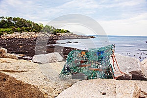 Lobster trap on rock at Oarweed Cove on Marginal way path along the rocky coast of Maine in Ogunquit