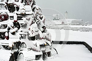 Lobster Trap Tree By Lighthouse