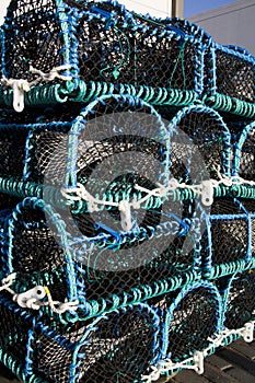 Lobster Traps