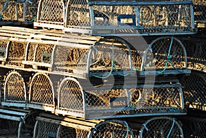 Lobster Traps