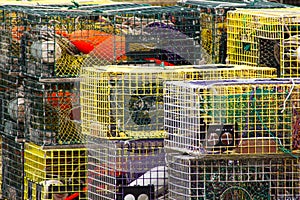 Lobster traps with buoys