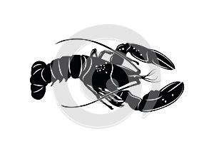 Lobster Vector Illustration in Black and White