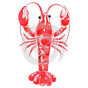 Lobster watercolor illustration for decoration on marine life .