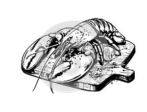 Lobster on wooden board. Black and white outline on white background. Hatching.