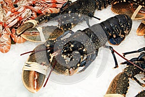 Lobsters