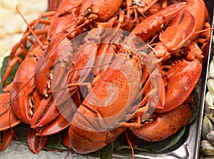 Lobsters being sold in victoria market