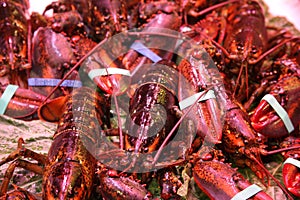 Lobsters on foodmarket