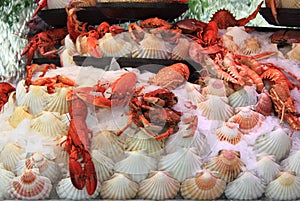 Lobsters for sale on a fish market