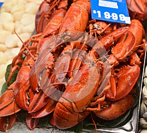 Lobsters for sale in market place