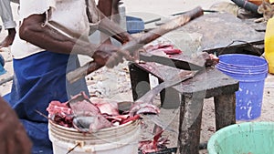 Local African Fishermen Cut Caught Fish on Fish Market by Ocean Beach, Zanzibar