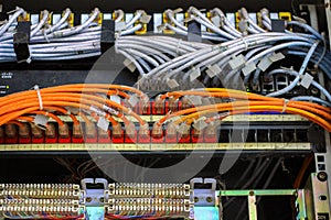 Local area network circuit box with multiple LAN RJ-45 cable relay connectors with selective focus on cables.