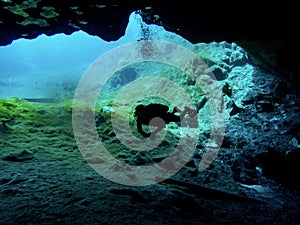 Local cavern diver swims into the cavern at Royal Springs, Suwannee County, Florida