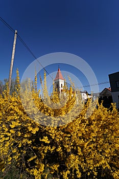 Local church with beautiful blossoms 2