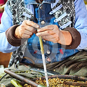 Local cigar making, Bagan, Inle Lake, Myanmar