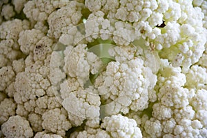 Local details of cauliflower