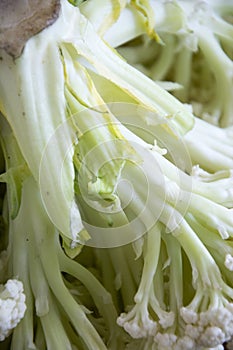 Local details of cauliflower