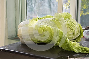 Local details of Chinese Cabbage