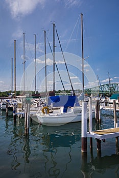 Local Detroit Marina