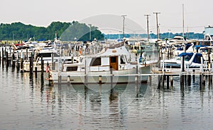 Local Detroit Marina