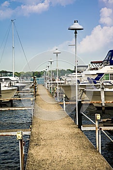 Local Detroit Marina