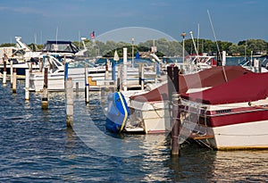 Local Detroit Marina