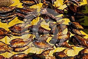 Local dry fish drying under cameroun sun in open air street market