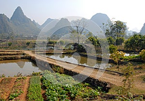 A local farm along the Yulong River near Yangshuo, Guilin in Guangxi Province, China
