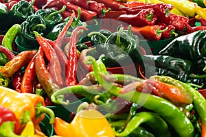 Variety of Peppers For Sale at Market photo