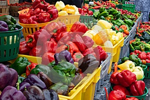 Variety of Peppers For Sale at Market photo