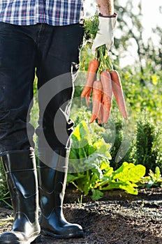 Local farmer holding a bunch of carrots