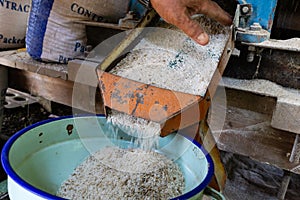 Local farmer preparing a traditional Bario paddy. photo